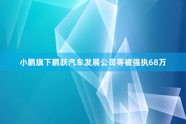 小鹏旗下鹏跃汽车发展公司等被强执68万