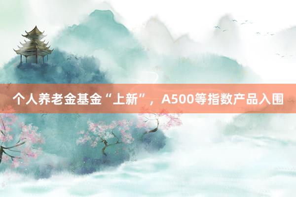 个人养老金基金“上新”，A500等指数产品入围