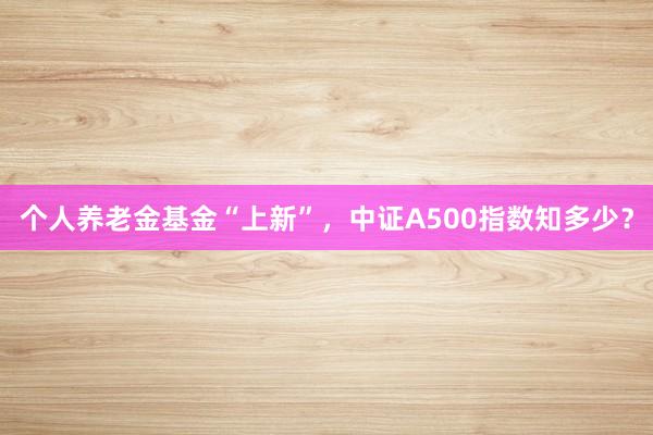 个人养老金基金“上新”，中证A500指数知多少？