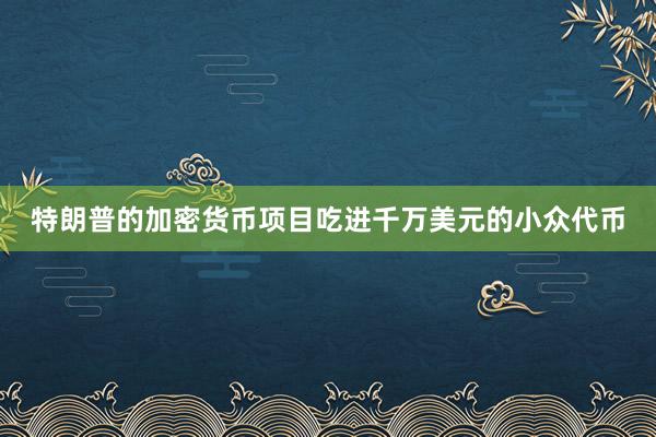 特朗普的加密货币项目吃进千万美元的小众代币