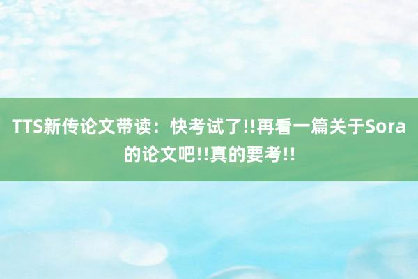 TTS新传论文带读：快考试了!!再看一篇关于Sora的论文吧!!真的要考!!