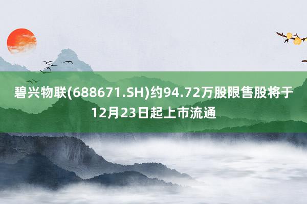 碧兴物联(688671.SH)约94.72万股限售股将于12月23日起上市流通