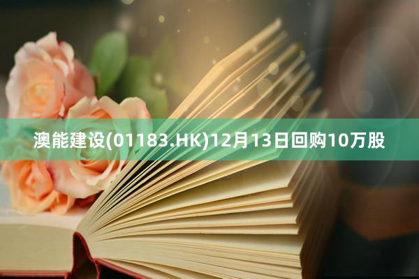 澳能建设(01183.HK)12月13日回购10万股