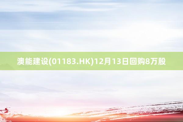 澳能建设(01183.HK)12月13日回购8万股