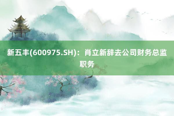 新五丰(600975.SH)：肖立新辞去公司财务总监职务