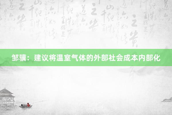 邹骥：建议将温室气体的外部社会成本内部化