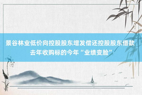 景谷林业低价向控股股东增发偿还控股股东借款 去年收购标的今年“业绩变脸”