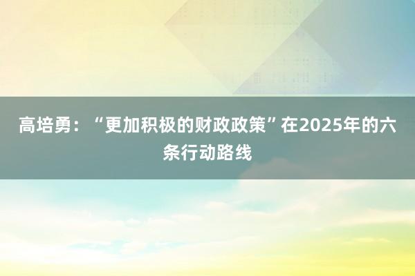 高培勇：“更加积极的财政政策”在2025年的六条行动路线