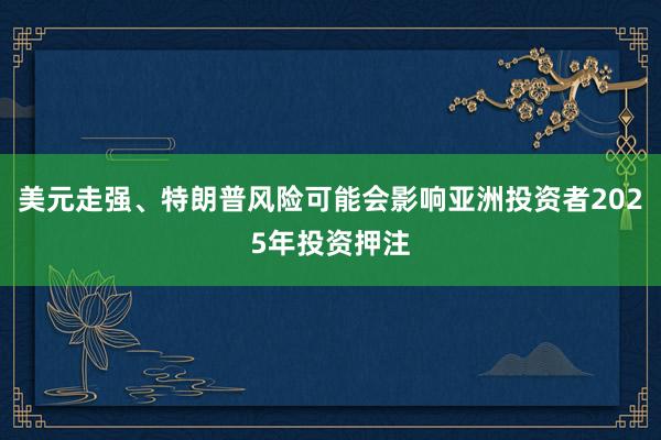 美元走强、特朗普风险可能会影响亚洲投资者2025年投资押注