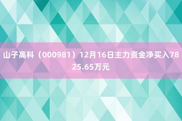 山子高科（000981）12月16日主力资金净买入7825.65万元