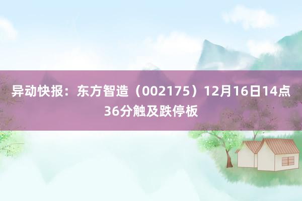 异动快报：东方智造（002175）12月16日14点36分触及跌停板