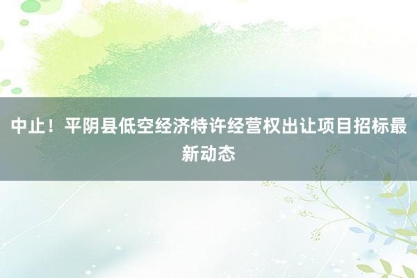 中止！平阴县低空经济特许经营权出让项目招标最新动态