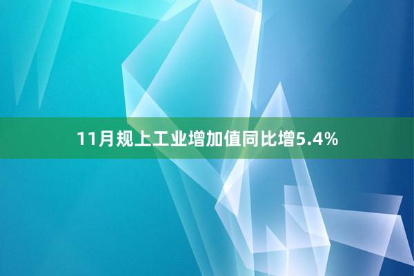 11月规上工业增加值同比增5.4%