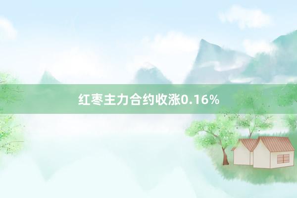 红枣主力合约收涨0.16%