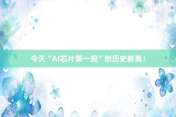 今天“AI芯片第一股”创历史新高！