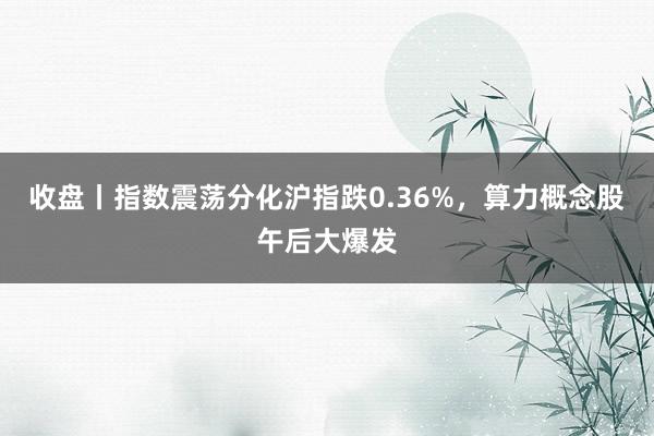 收盘丨指数震荡分化沪指跌0.36%，算力概念股午后大爆发