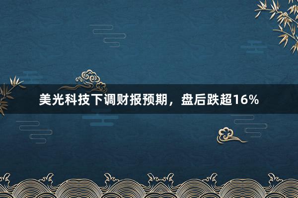 美光科技下调财报预期，盘后跌超16%