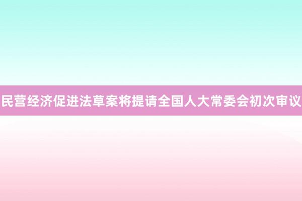 民营经济促进法草案将提请全国人大常委会初次审议