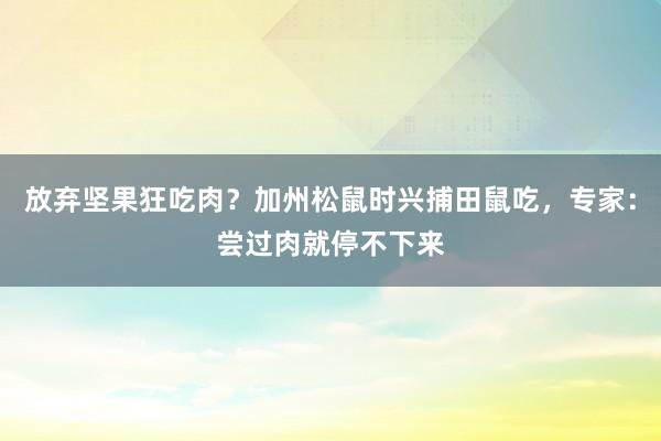 放弃坚果狂吃肉？加州松鼠时兴捕田鼠吃，专家：尝过肉就停不下来