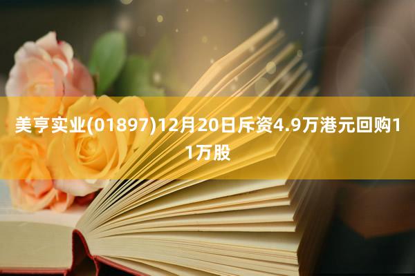 美亨实业(01897)12月20日斥资4.9万港元回购11万股