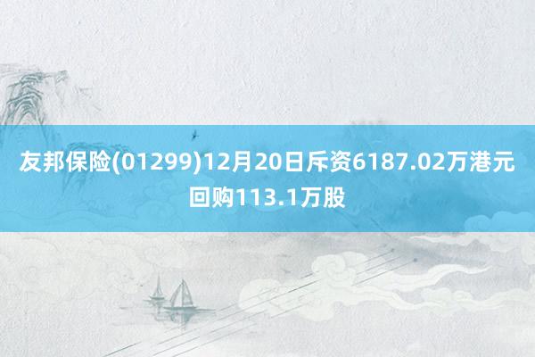 友邦保险(01299)12月20日斥资6187.02万港元回购113.1万股