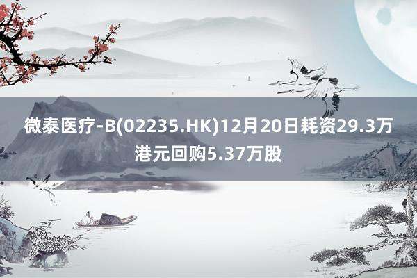 微泰医疗-B(02235.HK)12月20日耗资29.3万港元回购5.37万股