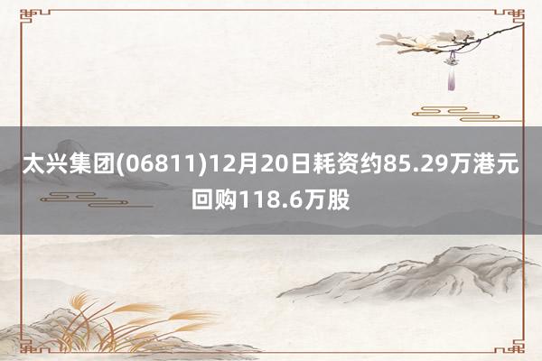 太兴集团(06811)12月20日耗资约85.29万港元回购118.6万股