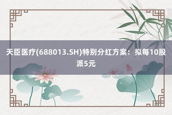 天臣医疗(688013.SH)特别分红方案：拟每10股派5元